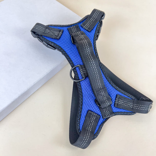ANNAM Polstrovaný postroj M šířka 16cm (nastavitelná velikost 52- 62cm) pro psy