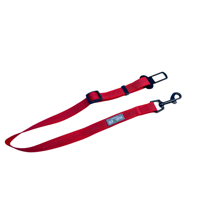 ANNAM Pás pro psy do auta 40-70cm