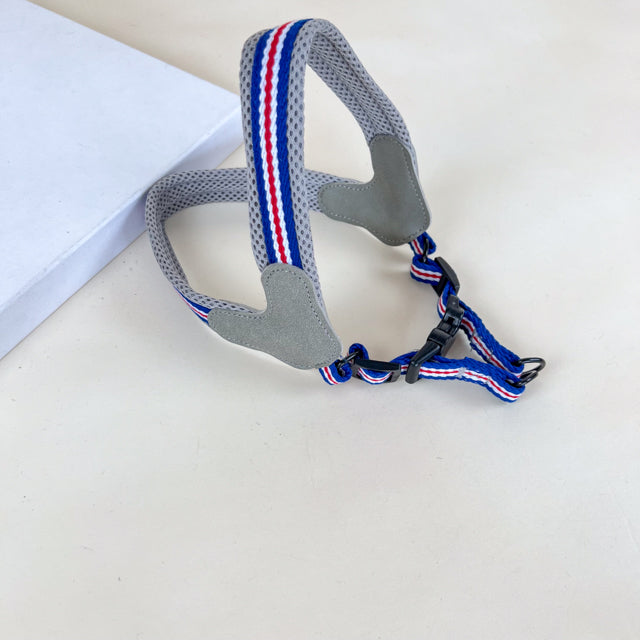 ANNAM Polstrovaný postroj na psy M (obvod 65 cm)