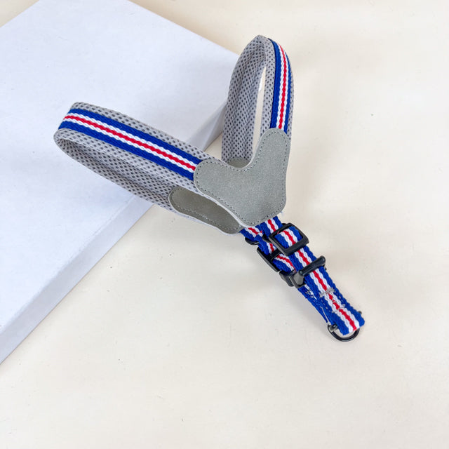 ANNAM Polstrovaný postroj na psy S (obvod 45cm) šířka 3cm