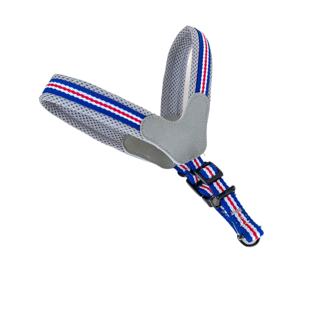ANNAM Polstrovaný postroj na psy M (obvod 65 cm)