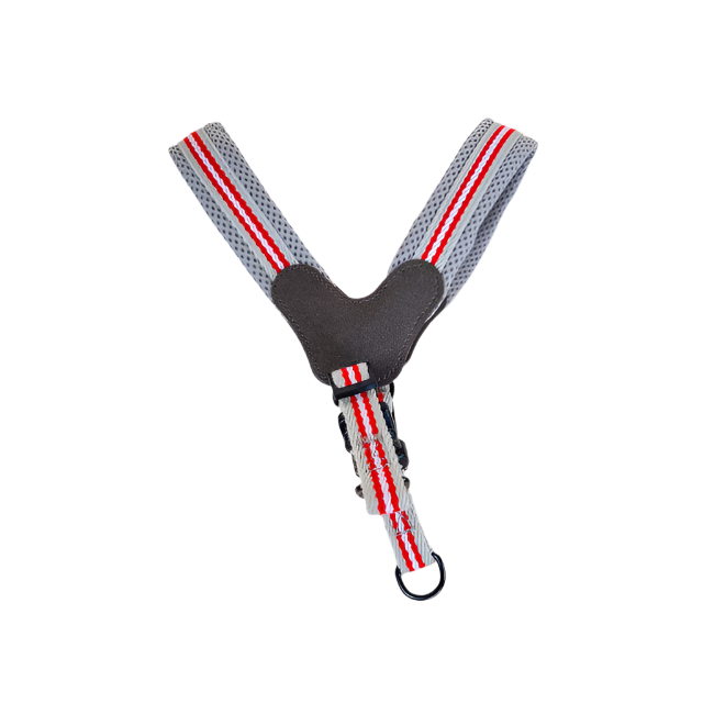 ANNAM Polstrovaný postroj na psy M (obvod 65 cm)