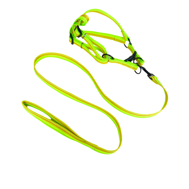 ANNAM Sada vodítka s postrojem 2 cm (obvod 45-60cm), vodítko 118cm