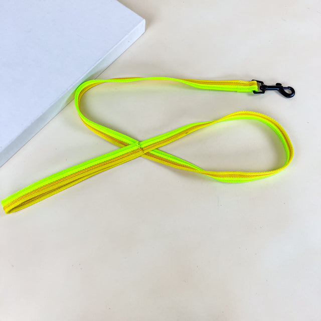 ANNAM Sada vodítka s postrojem 2 cm (obvod 45-60cm), vodítko 118cm