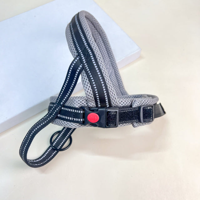 ANNAM Postroj pro psy M 62-72 cm