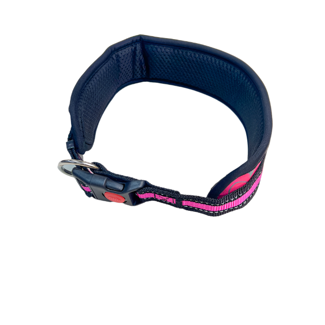 ANNAM Polstrovaný obojek 40-50 cm