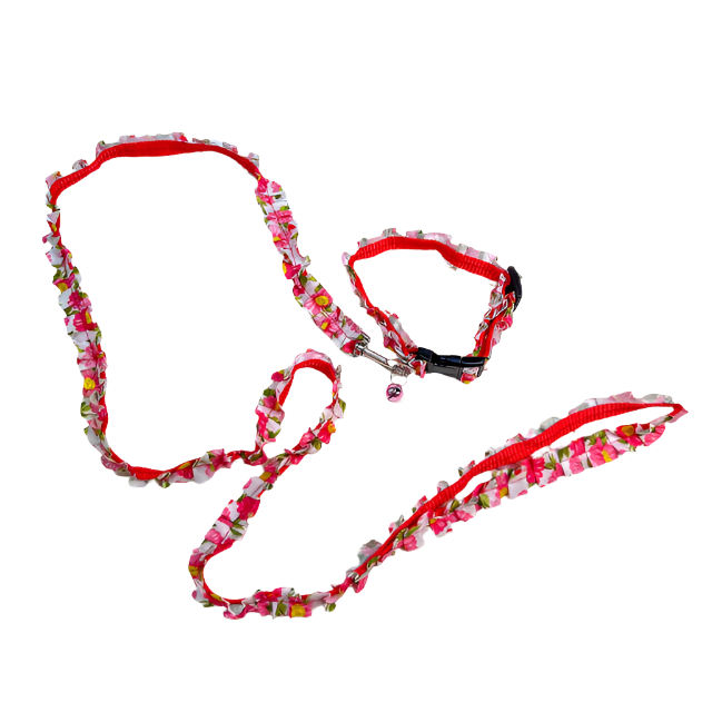 ANNAM Obojek s vodítkem