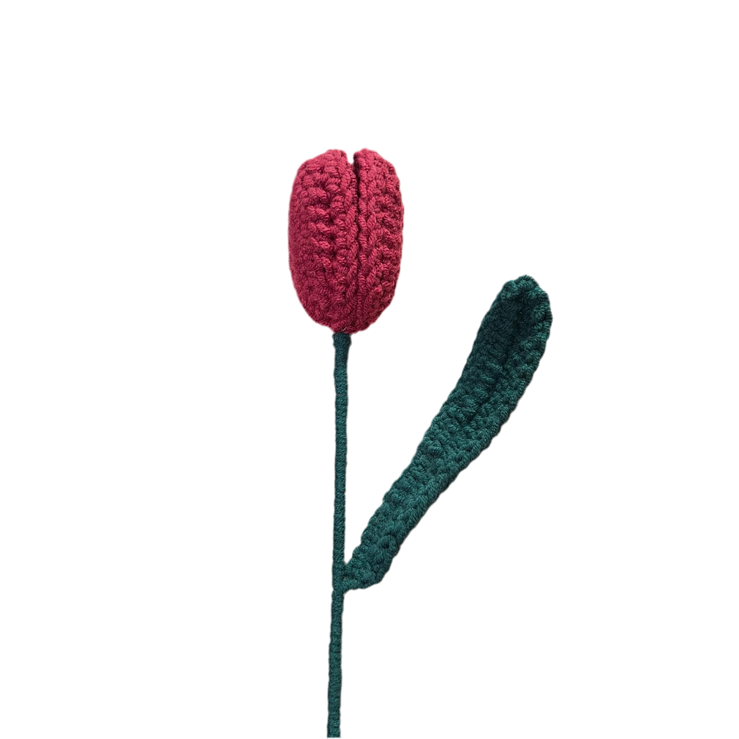 ANNAM Tulipán Jeden hotový červený tulipán