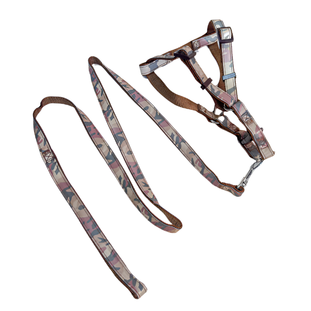 Reflexní sada vodítko a postroj (vodítko 115 cm, obvod postroje 35-50 cm)