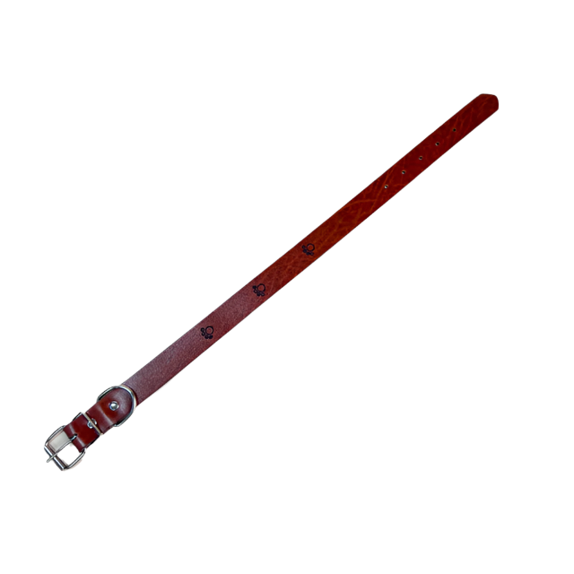 Kožený obojek pro psy s tlapkami 2.5cm, délka 50cm