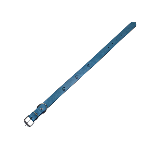Kožený obojek pro psy s tlapkami 2.5cm, délka 50cm