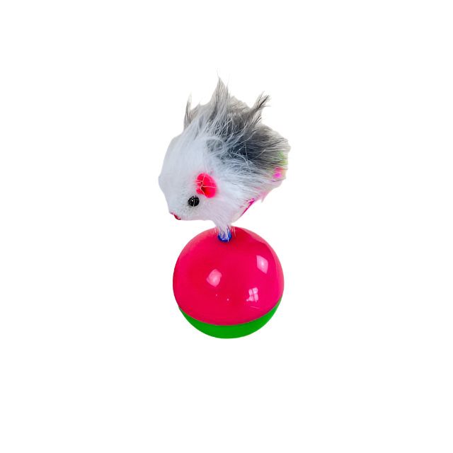 A little mouse on the balancing ball for cats