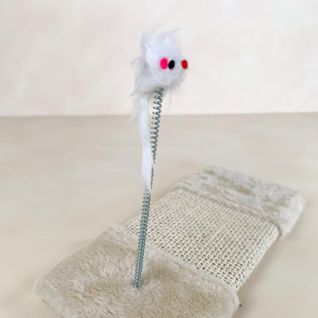Mouse Pad Scratching Post