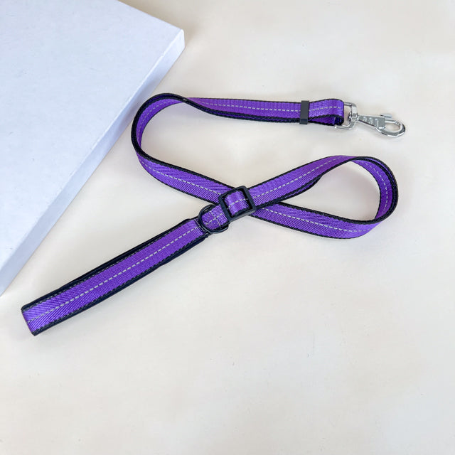 ANNAM Polstrované reflexní vodítko pro psy 2cm (délka 100-170cm)