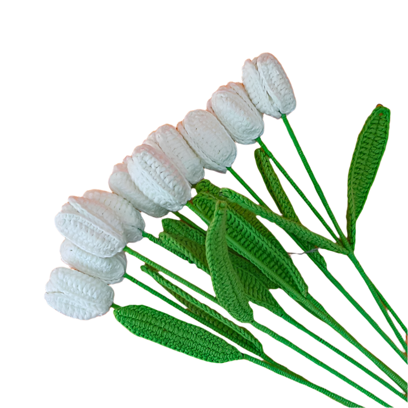 ANNAM Tulipán Jeden hotový bílý tulipán