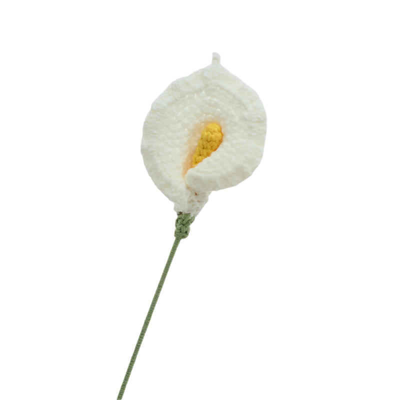 ANNAM Calla Lily