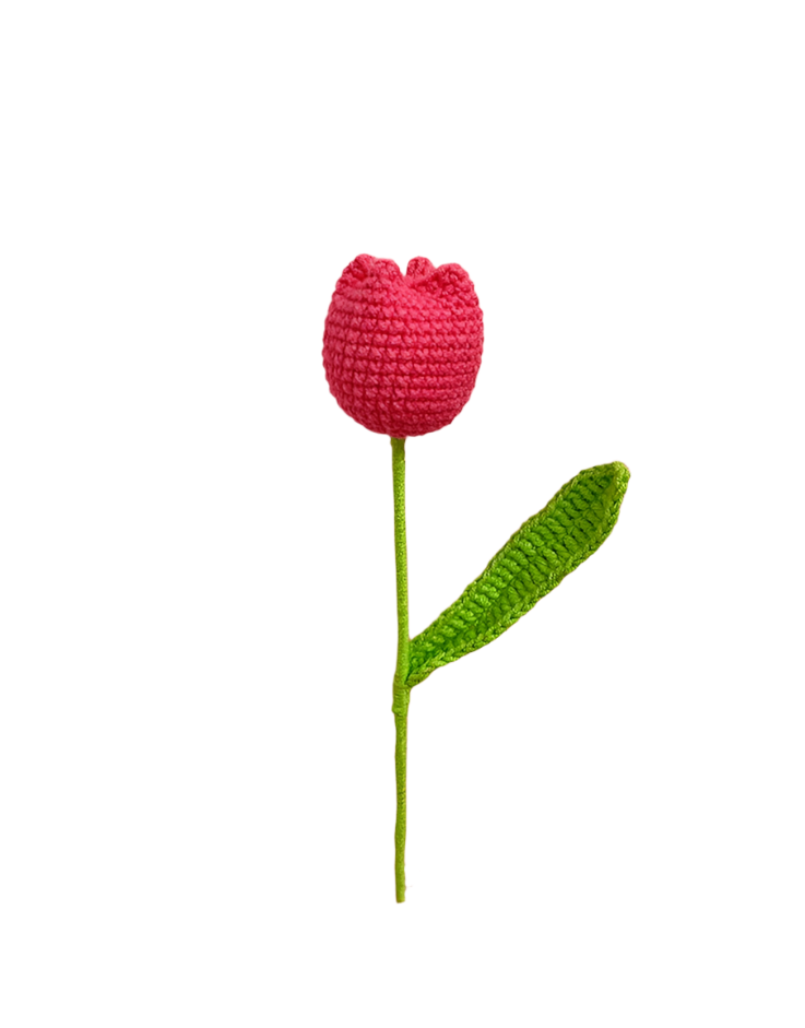 ANNAM Květiny Buclaté tulipány v karmínové barvě