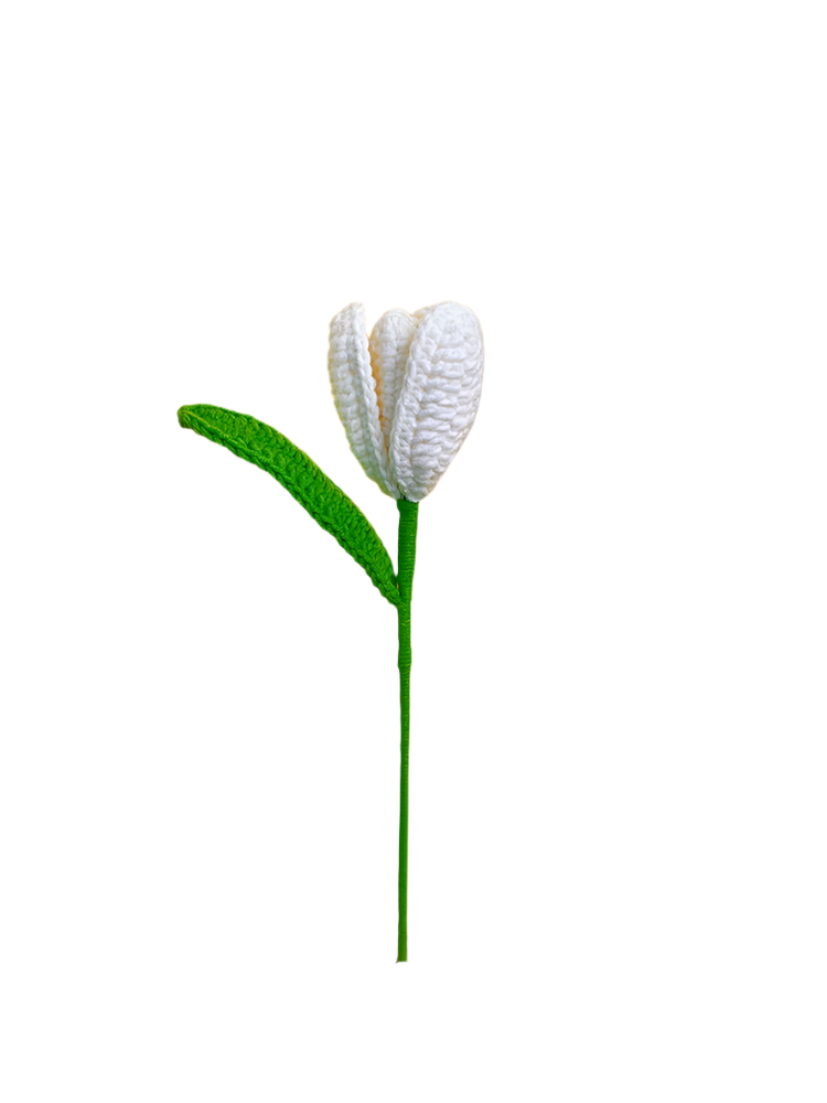 ANNAM Květiny Bílé kvetoucí tulipány