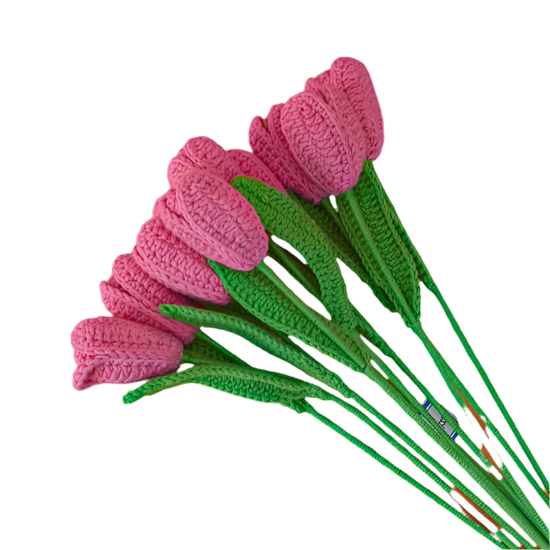 ANNAM Tulipán Jeden hotový tmavě růžový tulipán