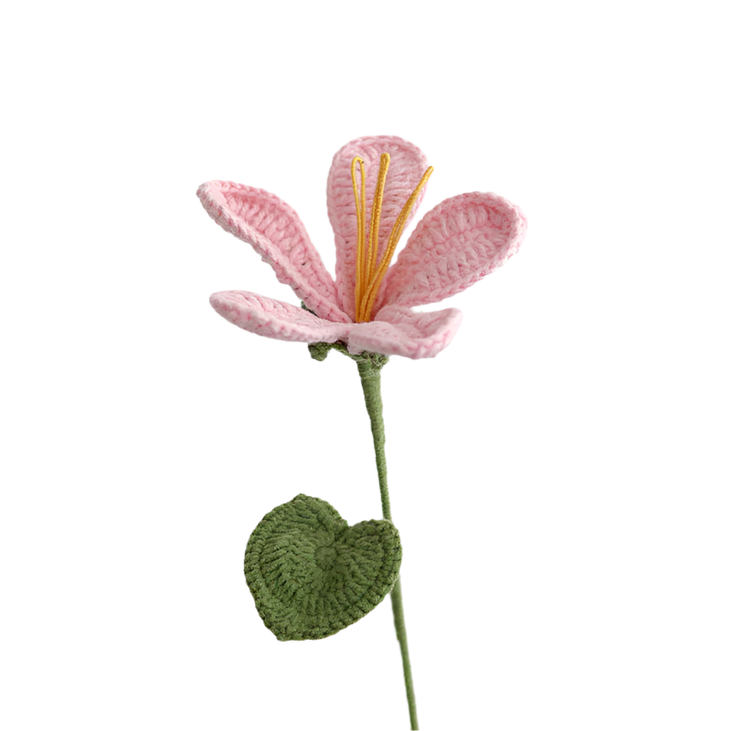 ANNAM Oleandr Jeden hotový fialový oleandr