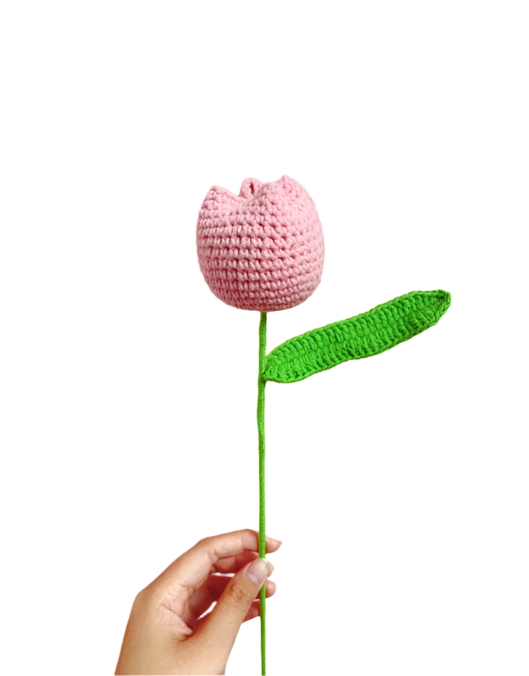 ANNAM Květiny Světle růžový tulipán