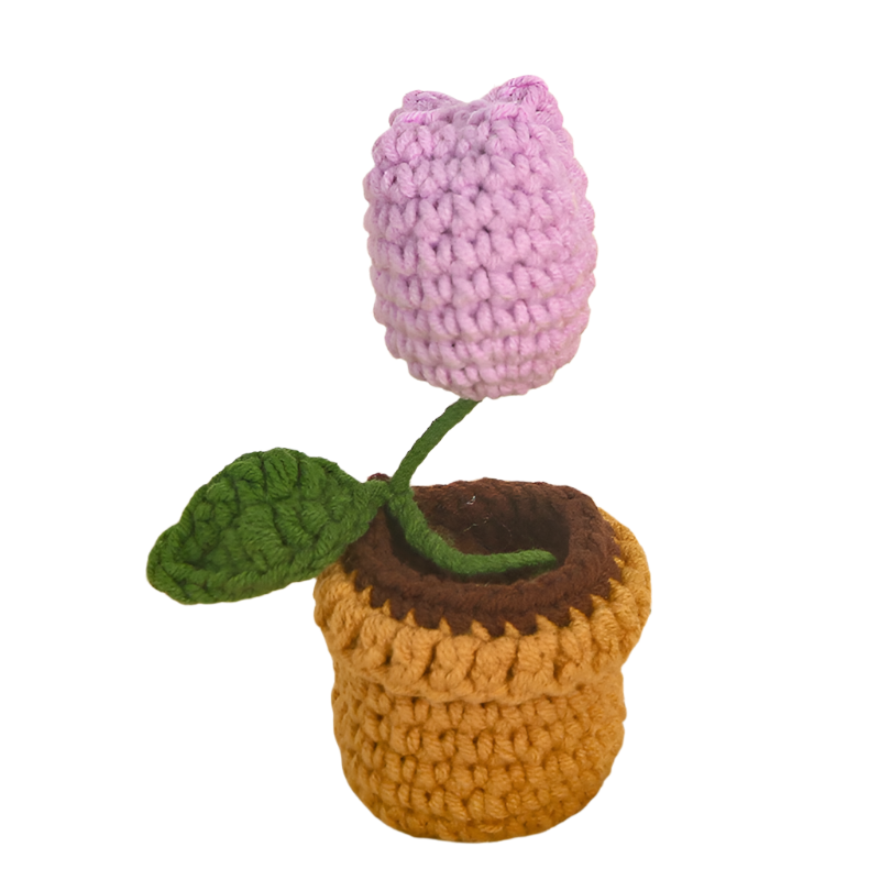 ANNAM Kvetina v květináči Růže hrnková rostlina