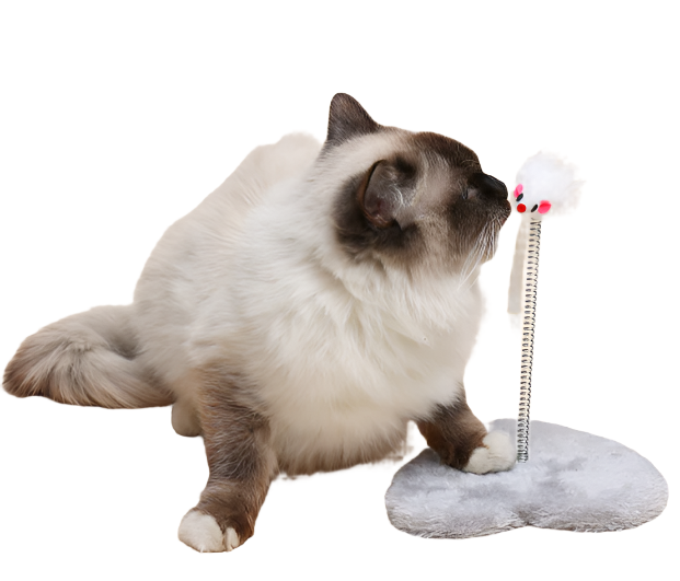 ANNAM Škrabadlo Srdíčko s myškou 20 cm