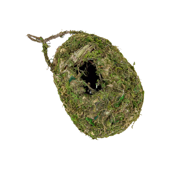 ANNAM Domeček pro ptáčky s mechem 16 cm