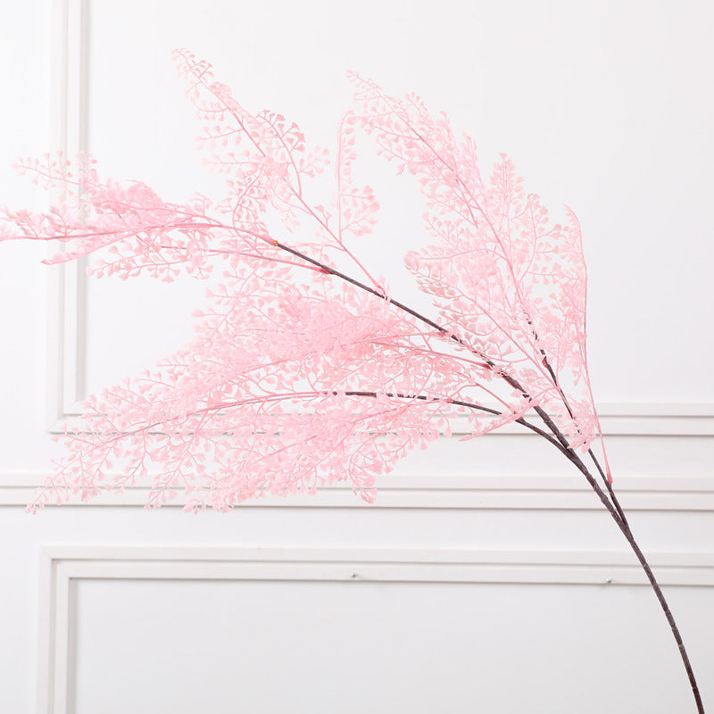 Cypress leaf