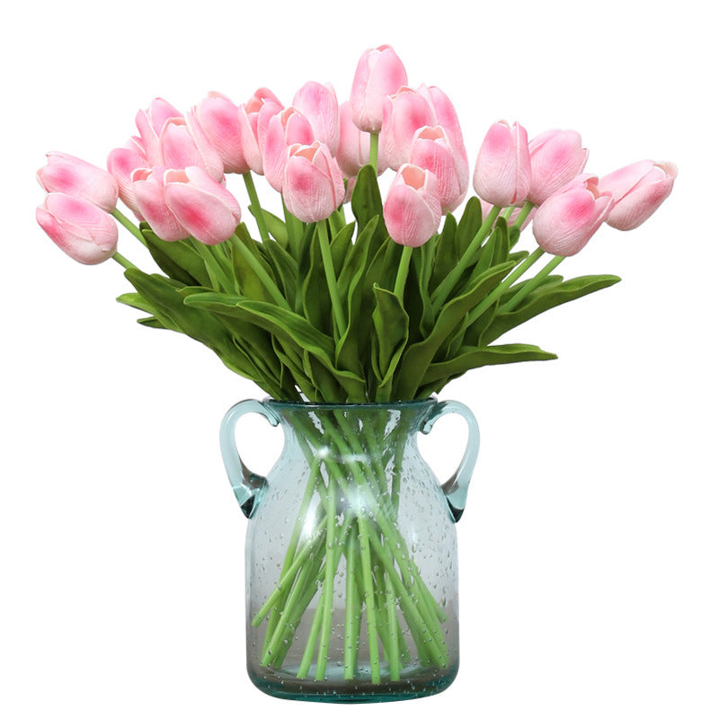 Tulip - ANNAM