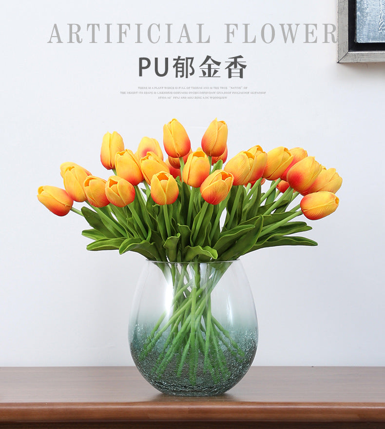 Tulip - ANNAM