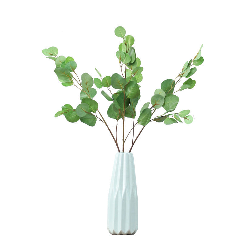 Eucalyptus leaf