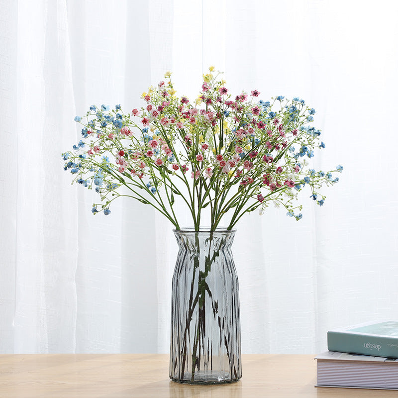 Gypsophila