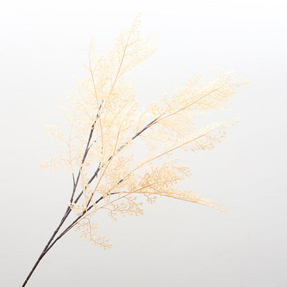 Cypress leaf