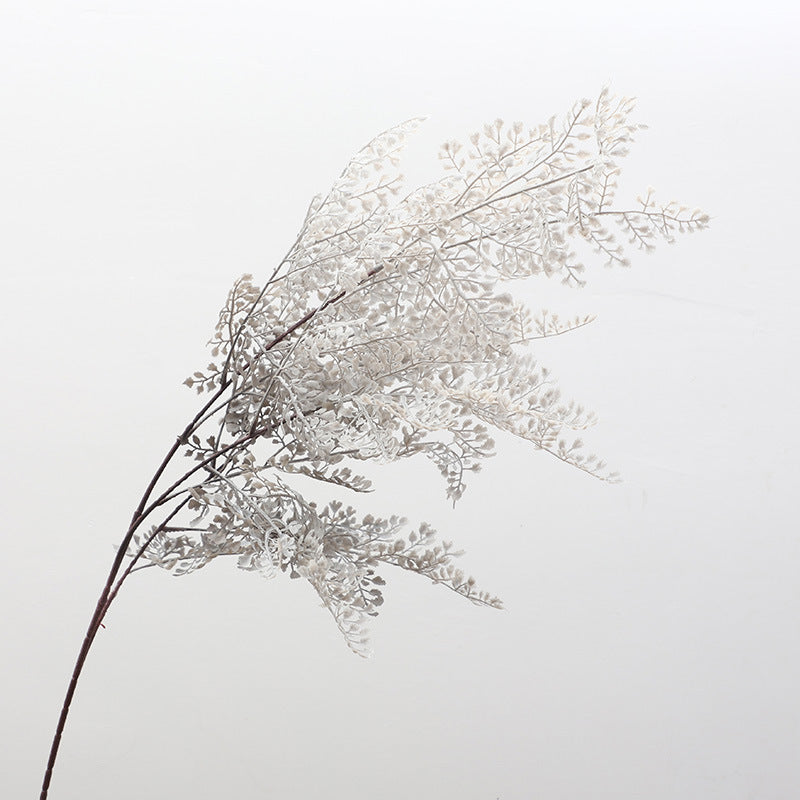 Cypress leaf
