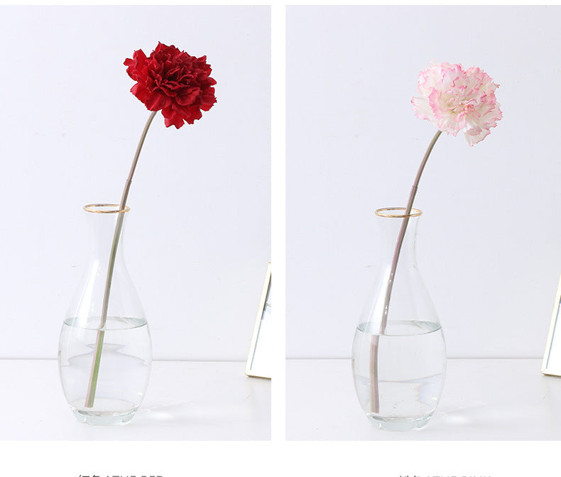 Carnation Karafiat