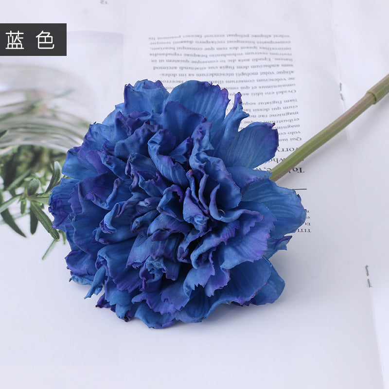 Carnation Karafiat