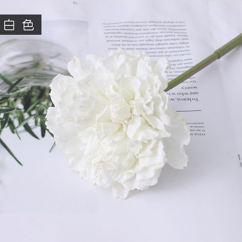 Carnation Karafiat