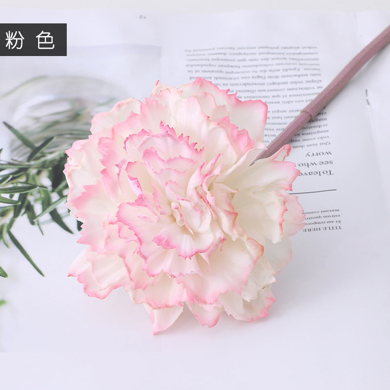 Carnation Karafiat