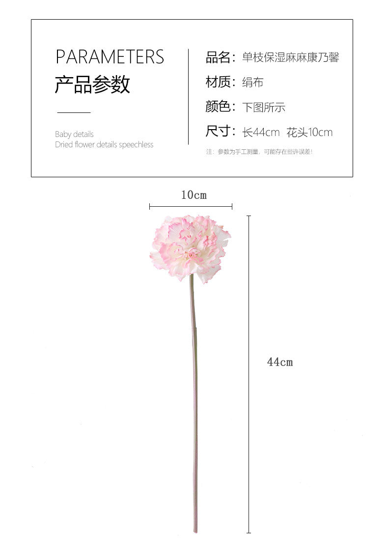Carnation Karafiat