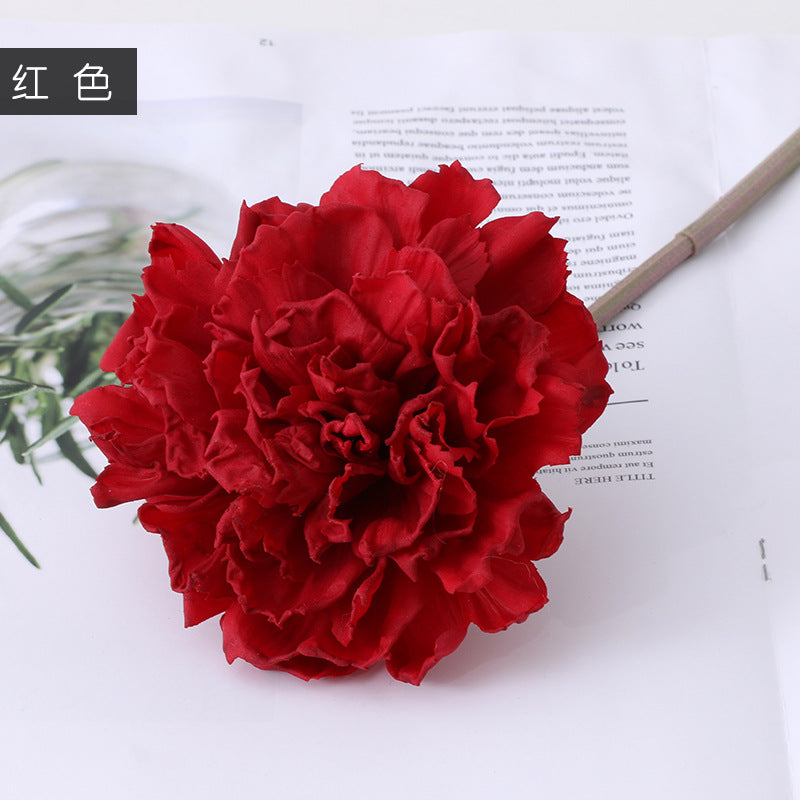 Carnation Karafiat