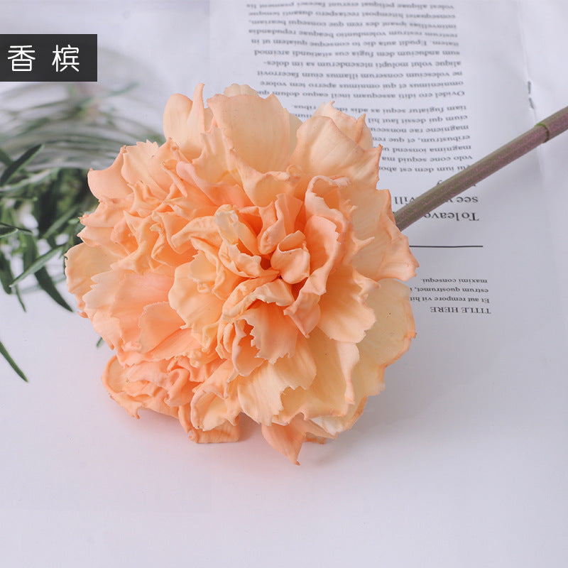 Carnation Karafiat