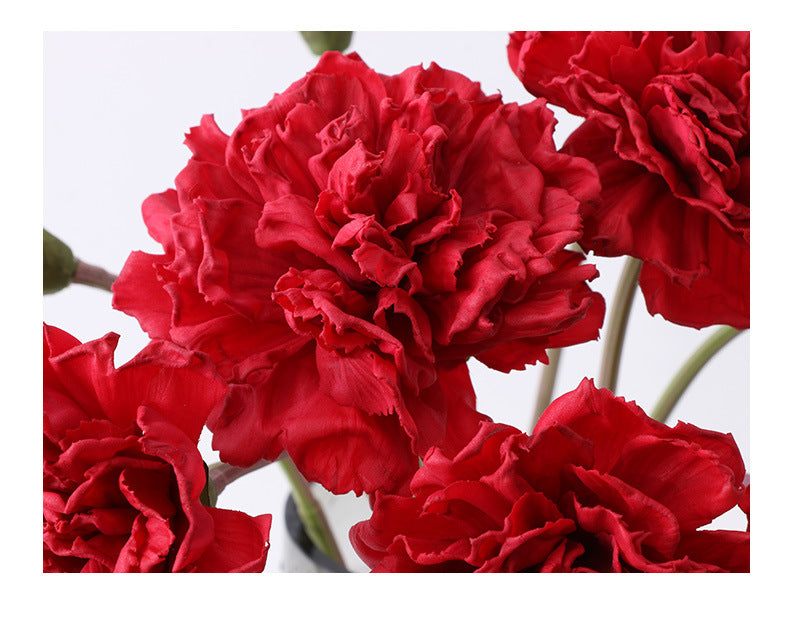 Carnation Karafiat