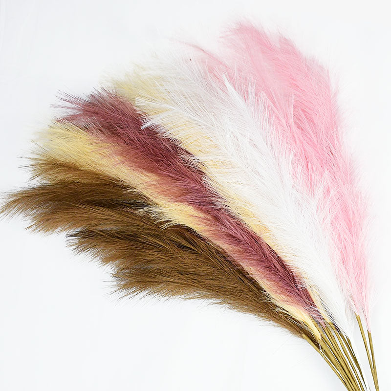 Pampas grass