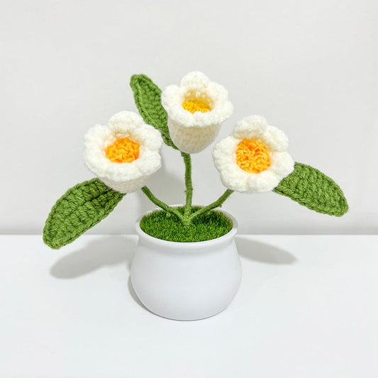 ANNAM Konvalinka v bílém květináči Bílá konvalinka (hotová)