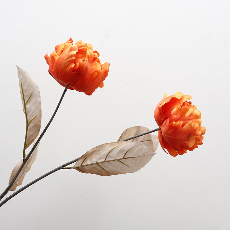 Cathay Pacific Tulip - ANNAM