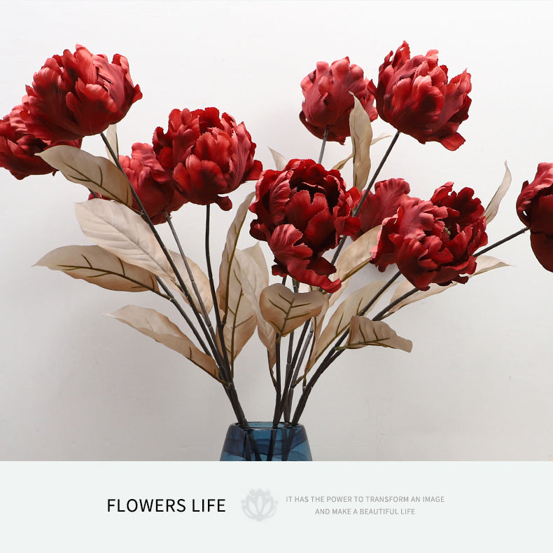 Cathay Pacific Tulip - ANNAM