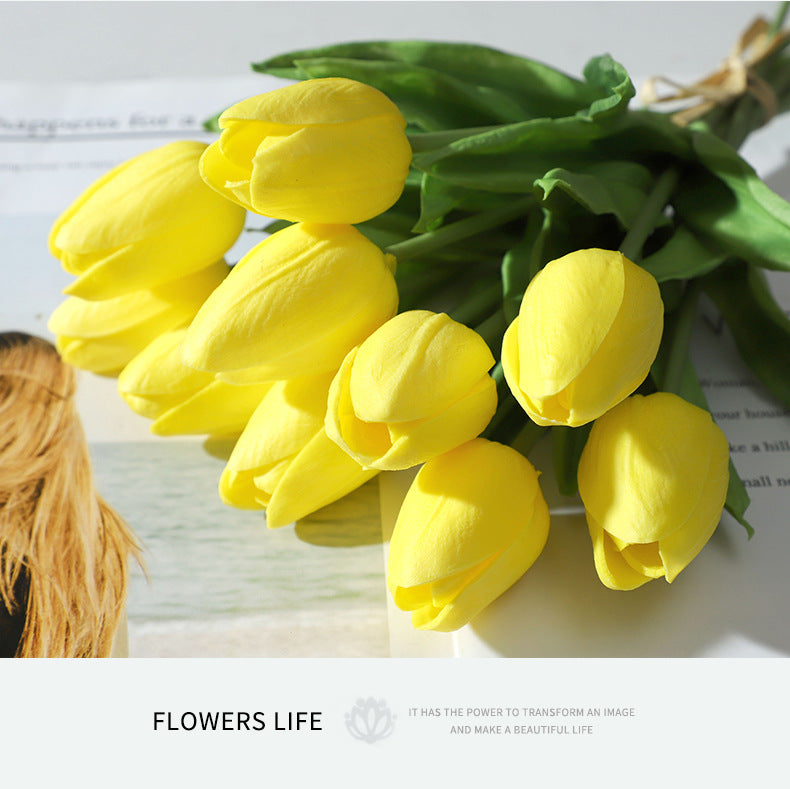 Tulip - ANNAM