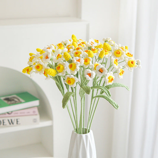 ANNAM Narcis
