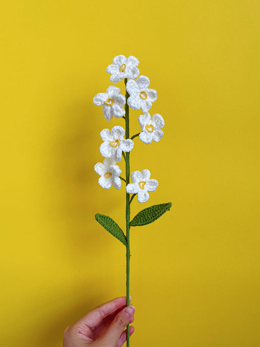 ANNAM Květiny Bílá pomněnka